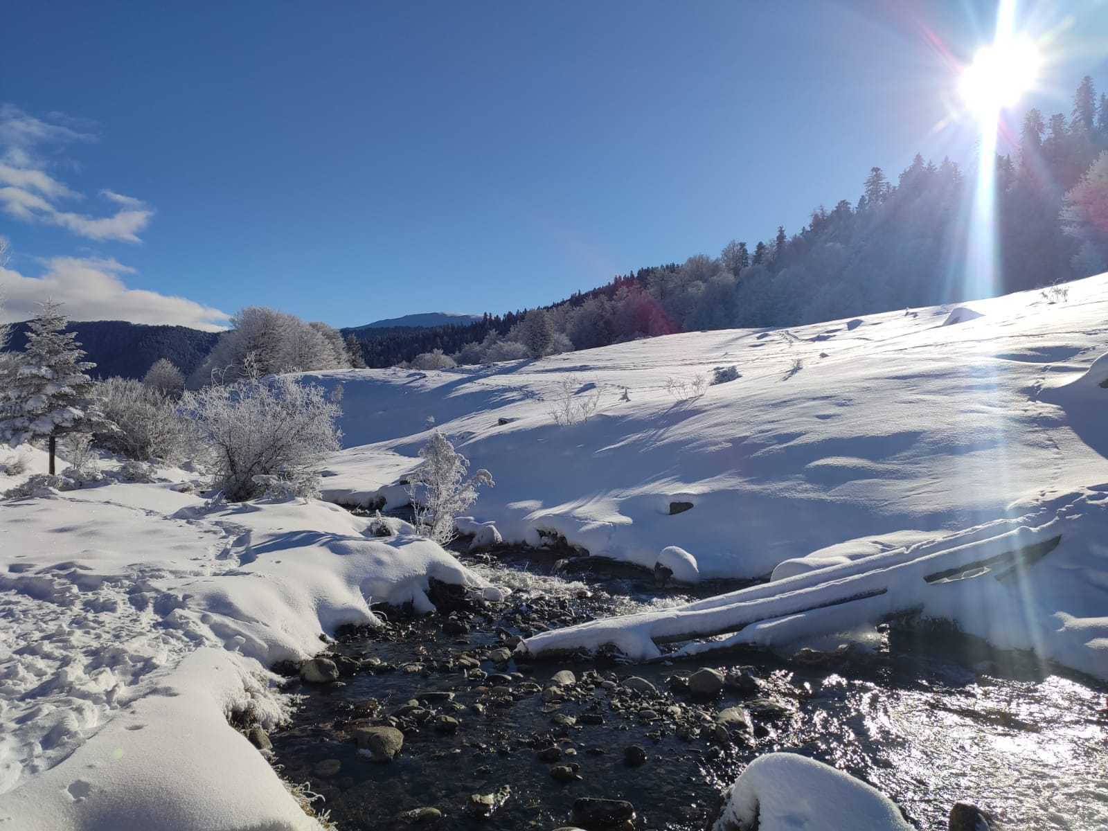Midjo-Pyrénées page Accueil