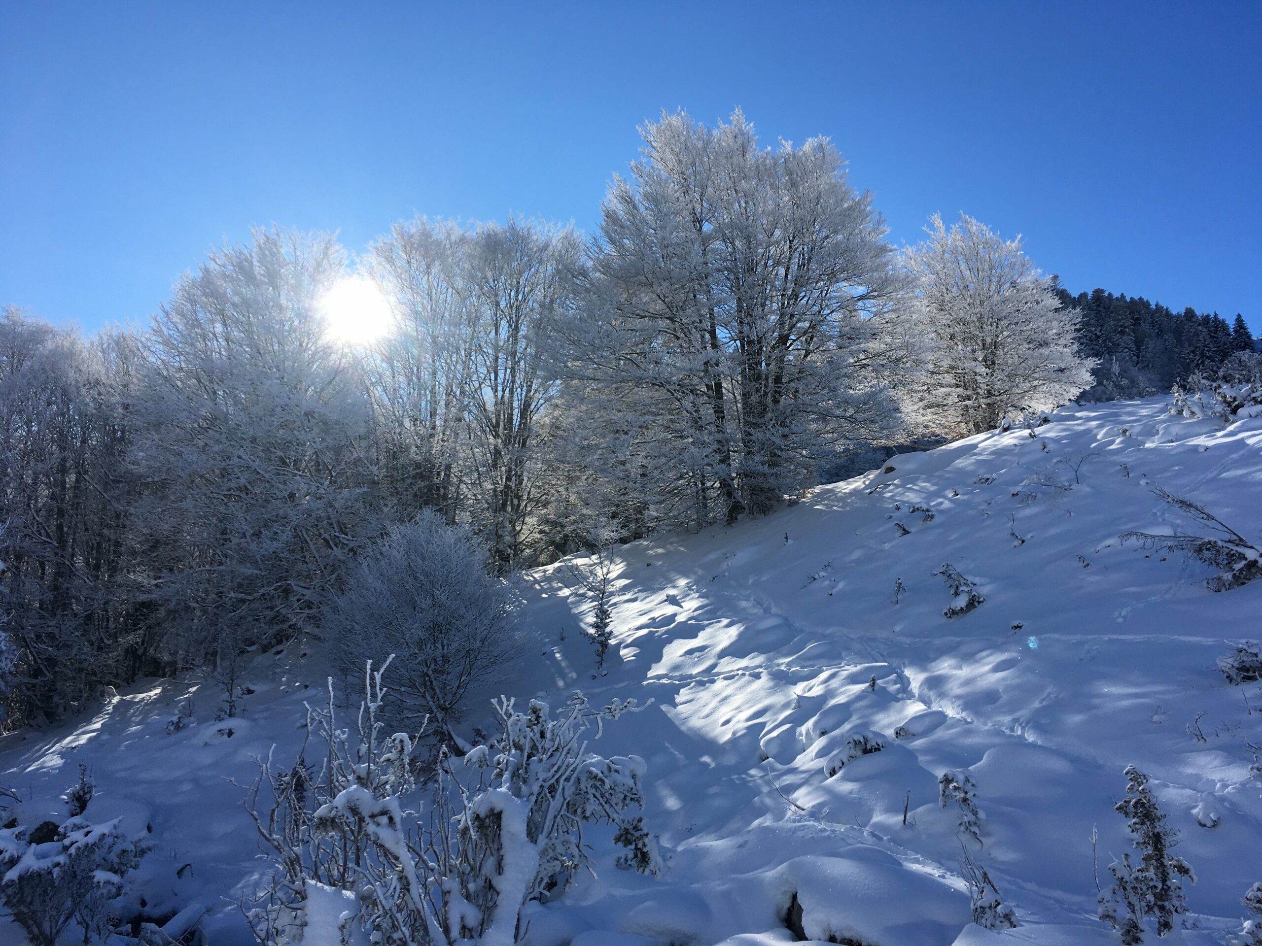 Midjo-Pyrénées page mes prestations